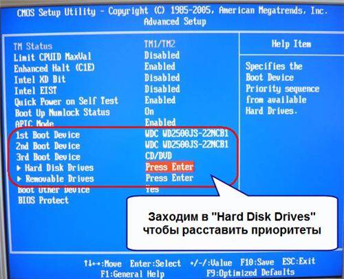 ami_2_hard_disk_drives.jpg