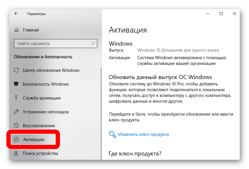 aktivatsiya-v-parametrah-windows-10.png