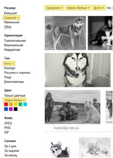 Yandex-filtri-poiska-po-izobrazheniyam.jpg