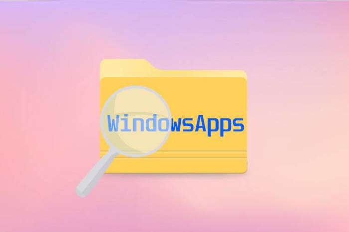 Papka-WindowsApps.jpg