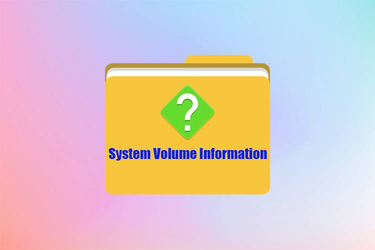 Papka-System-Volume-Information.jpg