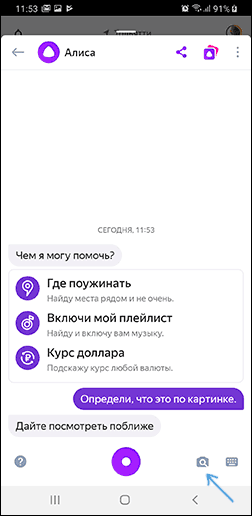 Поиск по фото с телефона в Яндекс Алисе