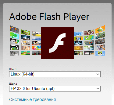 install-flash-player-2.png