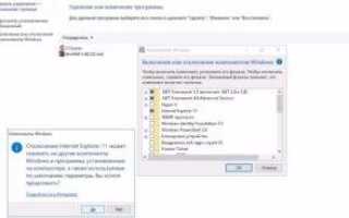 Как правильно удалить Internet Explorer на Windows 10 — инструкция по отключению