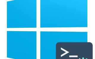 Командная строка администратор windows 10: запуск и использование