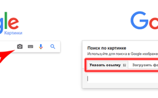 Поиск по картинке в Гугл и Яндекс: загрузить картинку или фото и найти изображение. (Как это работает?)